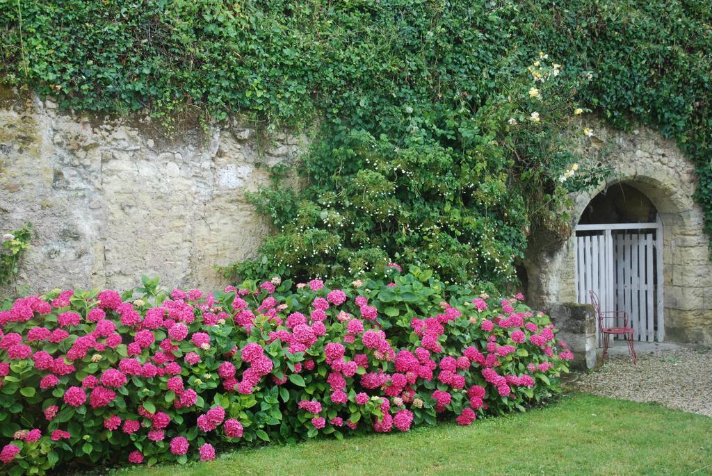 Le Pavillon De La Lanterne Villa Rochecorbon Dış mekan fotoğraf